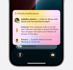 17 pro max ai priority Notifications